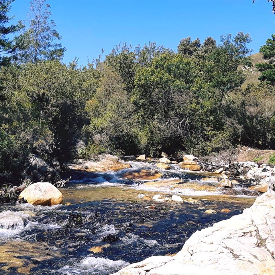 blinkwater cederberg